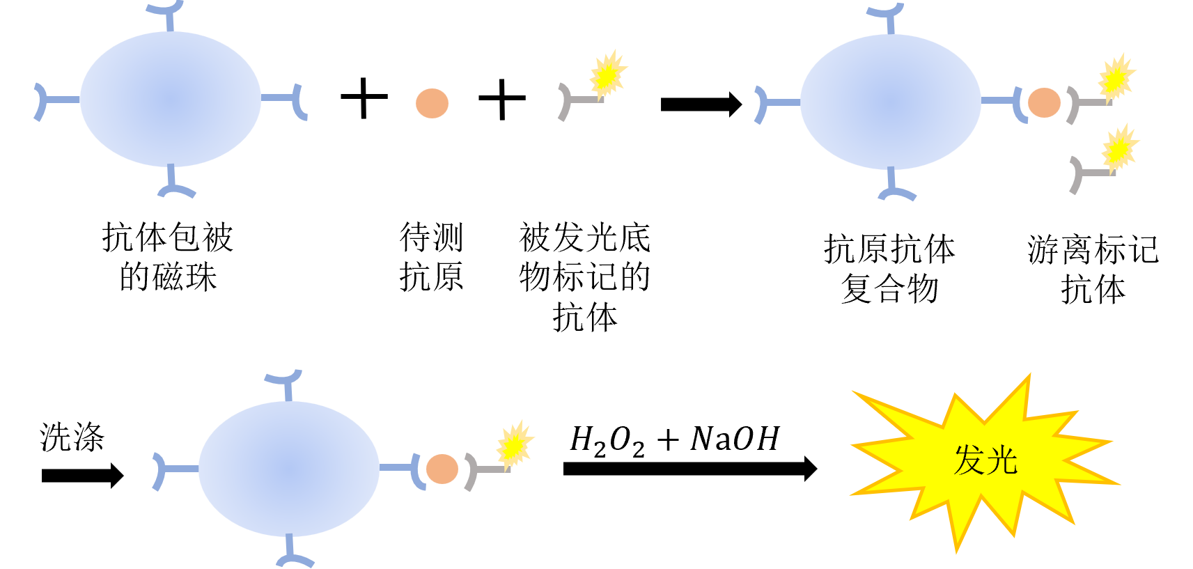 化學發光免疫之直接化學發光